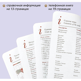 Ежедневник недатированный Bruno Visconti Sidney Nebraska искусственная кожа А5 136 листов серебристый (серебристый обрез)