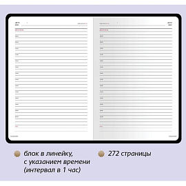 Ежедневник недатированный Bruno Visconti Sidney Nebraska искусственная кожа А5 136 листов серебристый (серебристый обрез)