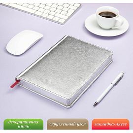 Ежедневник недатированный Bruno Visconti Sidney Nebraska искусственная кожа А5 136 листов серебристый (серебристый обрез)