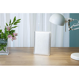 Ежедневник недатированный Bruno Visconti Sidney Nebraska искусственная кожа А5 136 листов серебристый (серебристый обрез)