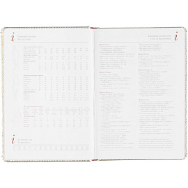 Ежедневник недатированный Bruno Visconti Sidney Nebraska искусственная кожа А5 136 листов серебристый (серебристый обрез)