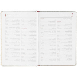 Ежедневник недатированный Bruno Visconti Sidney Nebraska искусственная кожа А5 136 листов серебристый (серебристый обрез)