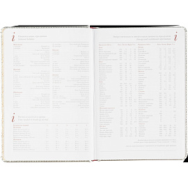 Ежедневник недатированный Bruno Visconti Sidney Nebraska искусственная кожа А5 136 листов серебристый (серебристый обрез)