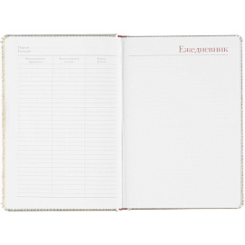 Ежедневник недатированный Bruno Visconti Sidney Nebraska искусственная кожа А5 136 листов серебристый (серебристый обрез)