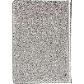 Ежедневник недатированный Bruno Visconti Sidney Nebraska искусственная кожа А5 136 листов серебристый (серебристый обрез)