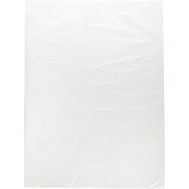 Пакет фасовочный ПНД 12 мкм 24x37 см (500 штук в пласте)