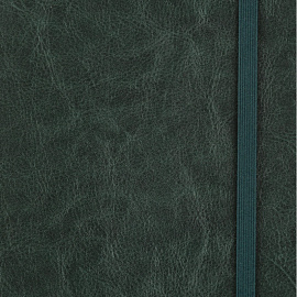 Ежедневник недатированный Attache Flex искусственная кожа Soft Touch А5 136 листов зелёный с фиксирующей резинкой (зелёный обрез)