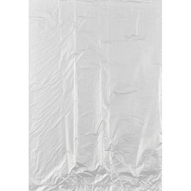 Пакет фасовочный 24x37 см ПНД 12 мкм прозрачный (1000 штук в упаковке)