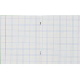 Тетрадь школьная зеленая Гознак А5 12 листов в клетку