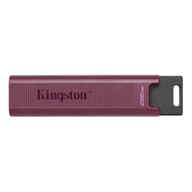 Флешка USB 3.1 256 ГБ Kingston Datatraveler Maxa (DTMAXA/256GB)