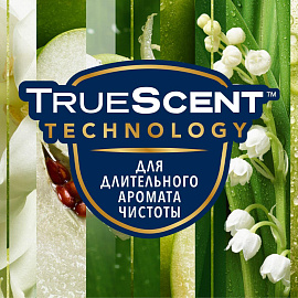 Баллон сменный для автоматического освежителя Glade Свежесть утра 269 мл