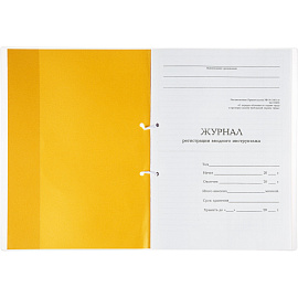 Журнал регистрации вводного инструктажа (32 листа, скрепка, обложка картон, офсет)