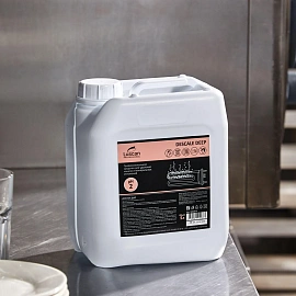 Средство для удаления накипи Luscan Professional Descale Deep 5 л (концентрат)