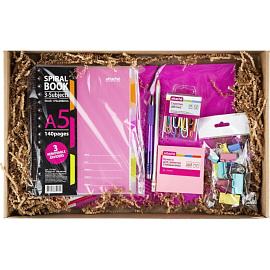 Набор канцелярский Attache Selection Digital розовый (9 предметов в наборе)