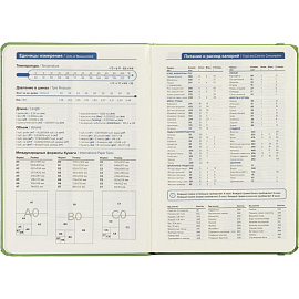 Ежедневник недатированный Attache Dairy полиуретан А5 136 листов зелёный с фиксирующей резинкой