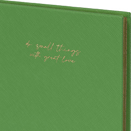 Ежедневник недатированный Attache Do small things полиуретан А5 136 листов зелёный (золотистый обрез)