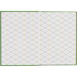 Ежедневник недатированный Attache Do small things полиуретан А5 136 листов зелёный (золотистый обрез)