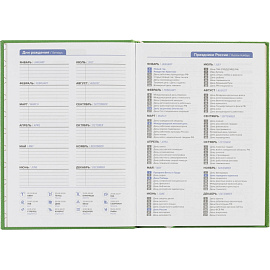 Ежедневник недатированный Attache Do small things полиуретан А5 136 листов зелёный (золотистый обрез)