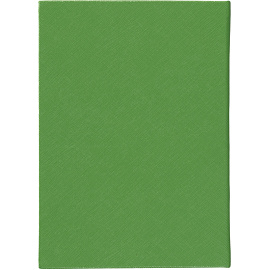 Ежедневник недатированный Attache Do small things полиуретан А5 136 листов зелёный (золотистый обрез)