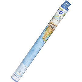 Карта мира физическая 1:25 000 000 настенная 120x78 см интерактивная (КН047)