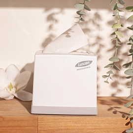 Диспенсер для салфеток Luscan Professional N2 настольный пластиковый серый