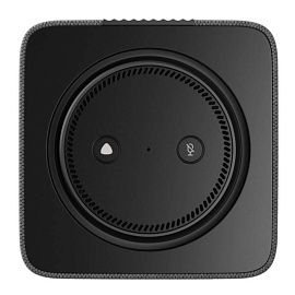 Умная колонка Яндекс Станция Макс Zigbee чёрная (YNDX-00053K)