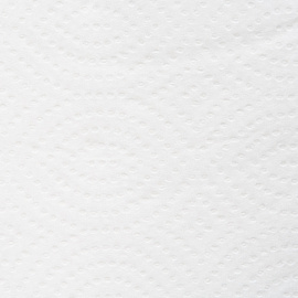 Бумага туалетная листовая Luscan Professional T3 2-слойная белая (15 пачек по 250 листов)