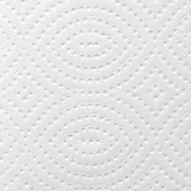 Полотенца бумажные листовые Luscan Professional H3 V-сложение 2-слойные белые 15 пачек по 200 листов