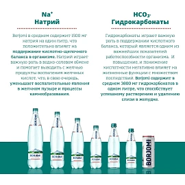 Вода минеральная Боржоми лечебно-столовая газированная 0.33 л