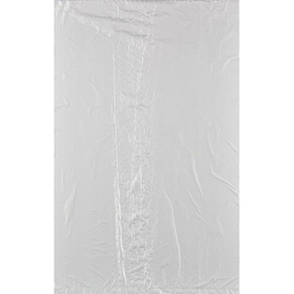 Пакет фасовочный ПНД 10 мкм 25x40 см (700 штук в рулоне)