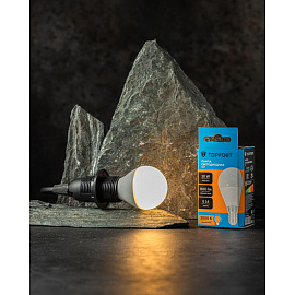 Лампа светодиодная TOPFORT 10 Вт E14 G 3000 К 800 Лм матовая