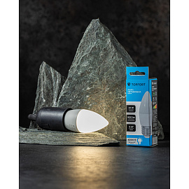 Лампа светодиодная TOPFORT 10 Вт E27 C 4000 К 800 Лм матовая