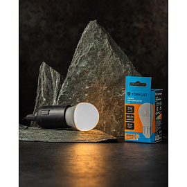 Лампа светодиодная TOPFORT 7 Вт E27 G 3000 К 560 Лм матовая