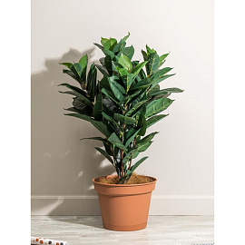 Горшок для цветов с поддоном Idiland Mint 10.7 л терракотовый (22.7x31 см)