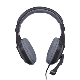 Гарнитура проводная Ritmix RH-534M (15119392)