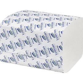 Салфетки бумажные для диспенсера Luscan Professional 16.8x23 см белые 2-слойные 200 листов (15 пачек в упаковке)