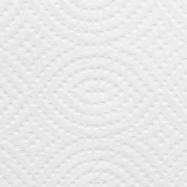 Салфетки бумажные для диспенсера Luscan Professional 16.8x23 см белые 2-слойные 200 листов (15 пачек в упаковке)