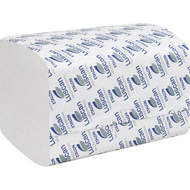 Салфетки бумажные для диспенсера Luscan Professional 16.8x23 см белые 2-слойные 200 листов (15 пачек в упаковке)