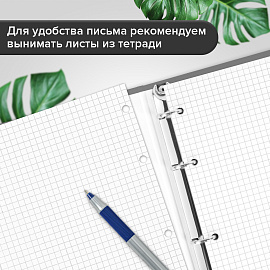 Тетрадь на кольцах А5 175х215 мм, 120 листов, твердый картон, клетка, BRAUBERG, "Anime Manga", 404715