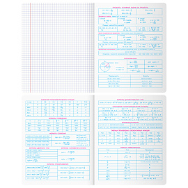 Тетрадь предметная 48л. BG "Скандальности" - Алгебра, глянцевая ламинация