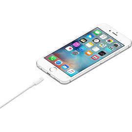 Кабель Apple Lightning - USB Type-A 0.5 метра (ME291ZM/A)