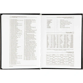 Ежедневник недатированный Attache Economy бумвинил А6 128 листов чёрный