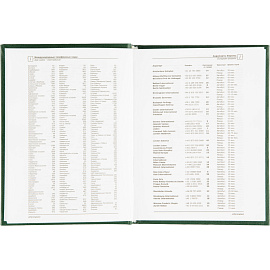 Ежедневник недатированный Attache Economy бумвинил А6 128 листов зелёный