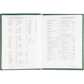 Ежедневник недатированный Attache Economy бумвинил А6 128 листов зелёный