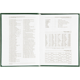 Ежедневник недатированный Attache Economy бумвинил А6 128 листов зелёный