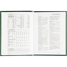 Ежедневник недатированный Attache Economy бумвинил А6 128 листов зелёный