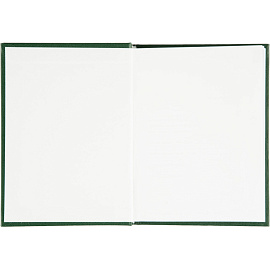 Ежедневник недатированный Attache Economy бумвинил А6 128 листов зелёный