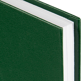 Ежедневник недатированный Attache Economy бумвинил А5 128 листов зелёный