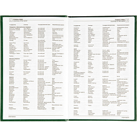 Ежедневник недатированный Attache Economy бумвинил А5 128 листов зелёный