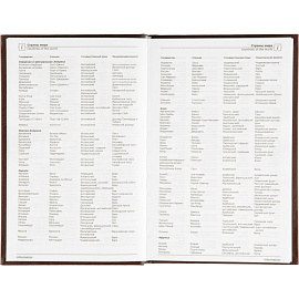 Ежедневник недатированный Attache Economy бумвинил А5 128 листов коричневый